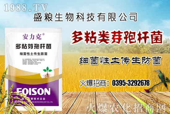 ܇?yn)ӷNֲh(hun)ҪĎc܇?yn)NxN׷N