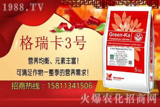 秋栽果樹的好處有哪些?秋栽果樹八大關鍵要點!