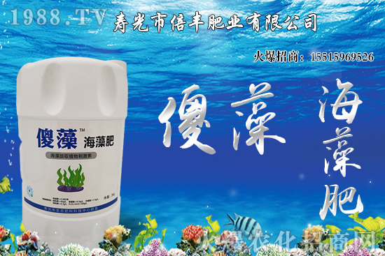 市場逐步回歸正常基本面,大豆價(jià)格沖高回落!