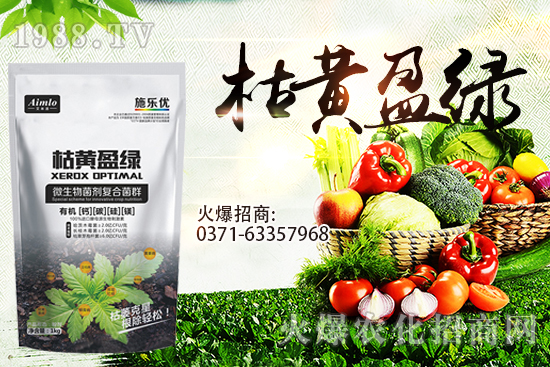 ʮ¼rܝq929Сr߄