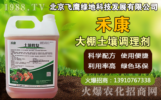 豬肚菇如何種植,豬肚菇栽培管理技術!