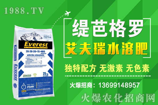 СrqʮСA(y)y