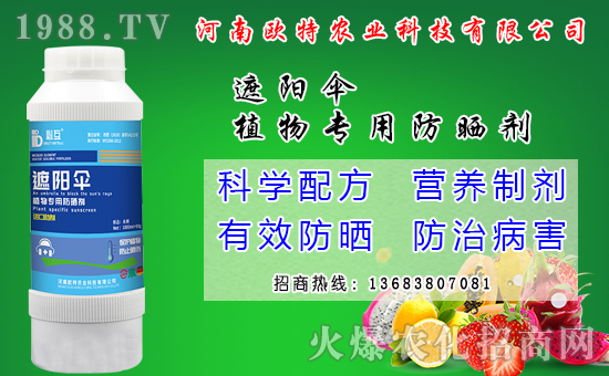 馬鈴薯可以和那些作物套種?馬鈴薯套種模式有什么好處?