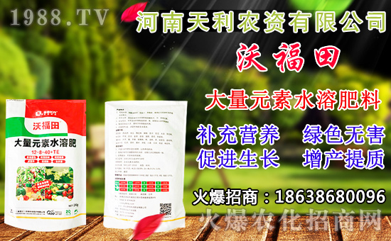 鋅肥施用的五大禁忌,鋅肥的作用及正確使用方法!