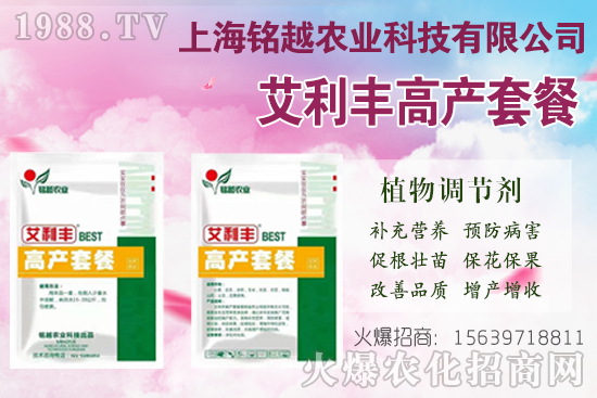 棉花吐絮是什么季節(jié)?常出現(xiàn)問(wèn)題有哪些?棉花吐絮期管理要點(diǎn)!