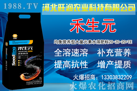 2020NֲyٍX᣿yLlNֲǰ