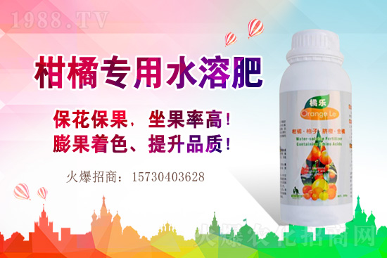 草莓的生長習性有哪些?早春大棚草莓管理技術要點!