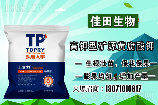 雪梨該怎樣種植?雪梨的種植時間和方法!