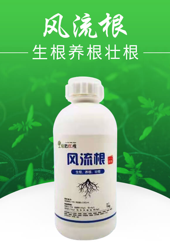 風流根(生根養(yǎng)根壯根)-綠肥_01