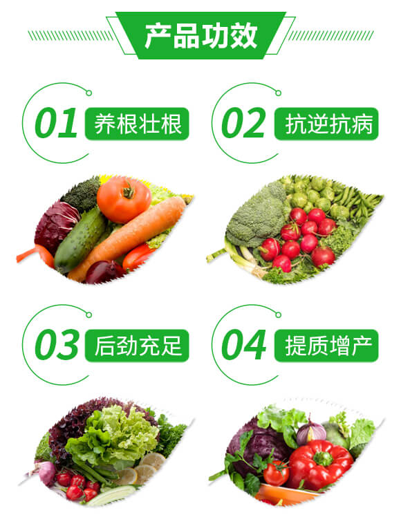 風流根(生根養(yǎng)根壯根)-綠肥_03