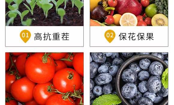 (qing)-r(nng)t(y)-_(ki)ţ_05