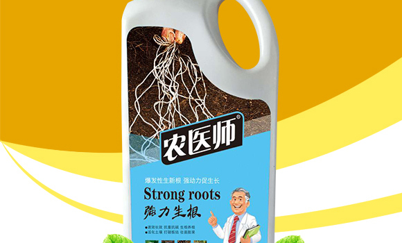 (qing)-r(nng)t(y)-_(ki)ţ_02