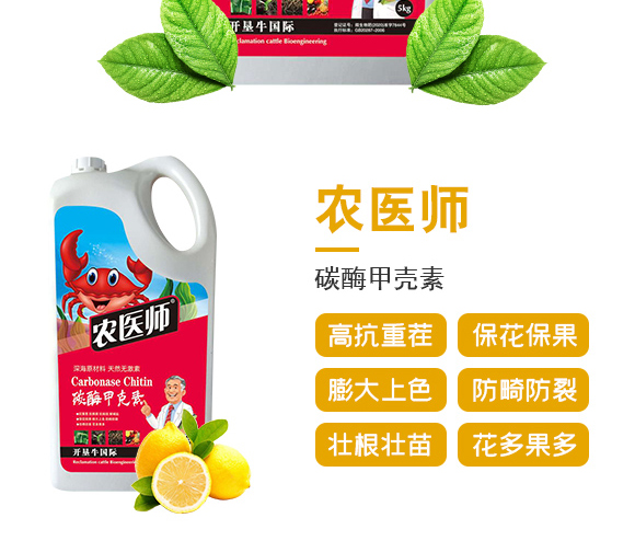 (qing)-r(nng)t(y)-_(ki)ţ_03