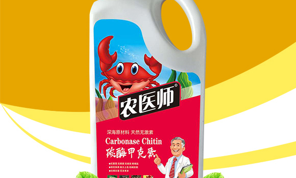 (qing)-r(nng)t(y)-_(ki)ţ_02