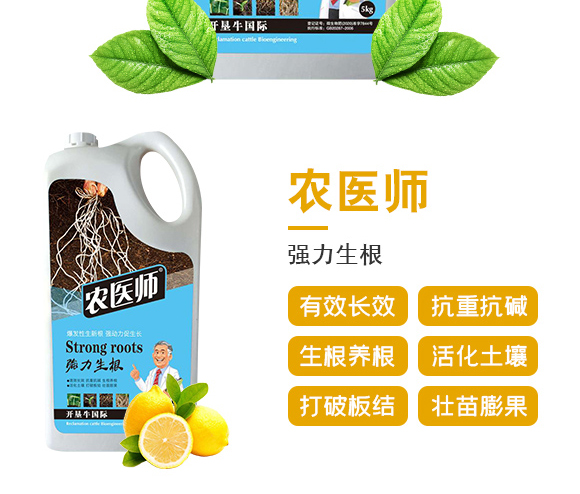 (qing)-r(nng)t(y)-_(ki)ţ_03