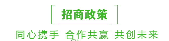 抗性薊馬專(zhuān)用殺蟲(chóng)劑-季戰(zhàn)-聯(lián)沃農(nóng)業(yè)_07