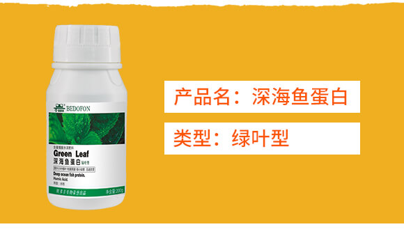 綠葉型深海魚蛋白-貝多豐_02