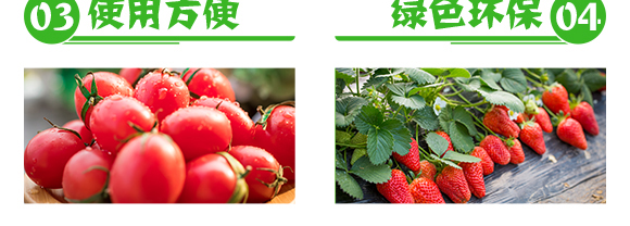 抗性薊馬專(zhuān)用殺蟲(chóng)劑-季戰(zhàn)-聯(lián)沃農(nóng)業(yè)_06