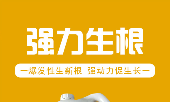 (qing)-r(nng)t(y)-_(ki)ţ_01