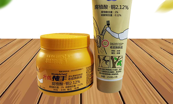 τ˹Ƥ--(lin)ϲr_02