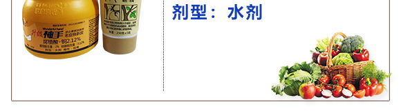 τ˹Ƥ--(lin)ϲr_04