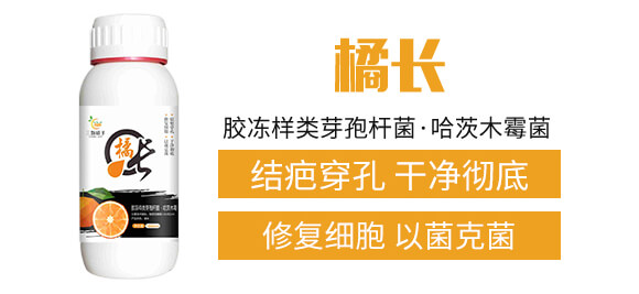 z(li)ѿߗUľù-L(zhng)-w_02