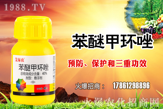 x׷N׷NֲҪעЩ}