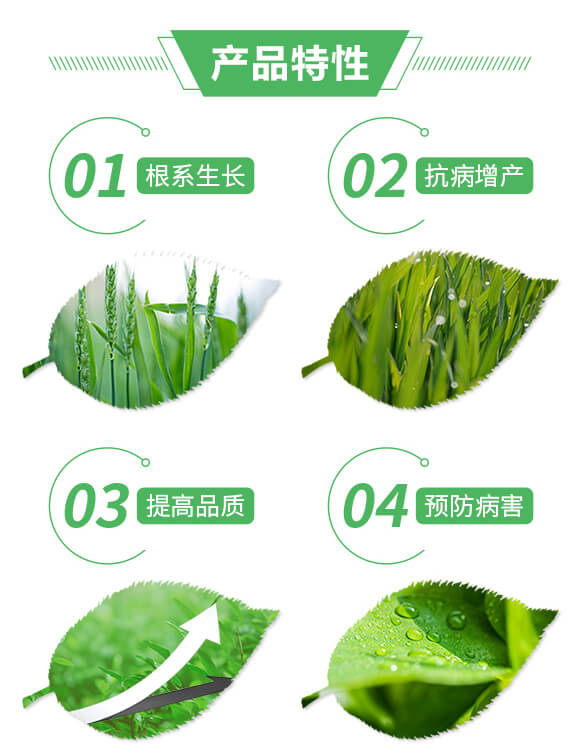 根結無線-喜蘭特_02