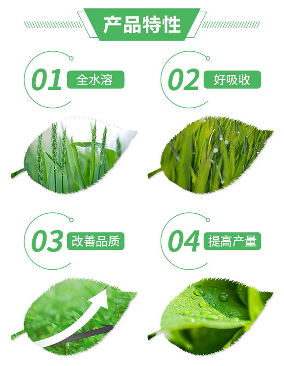 復(fù)混肥料18-17-19+6-保樂豐_02