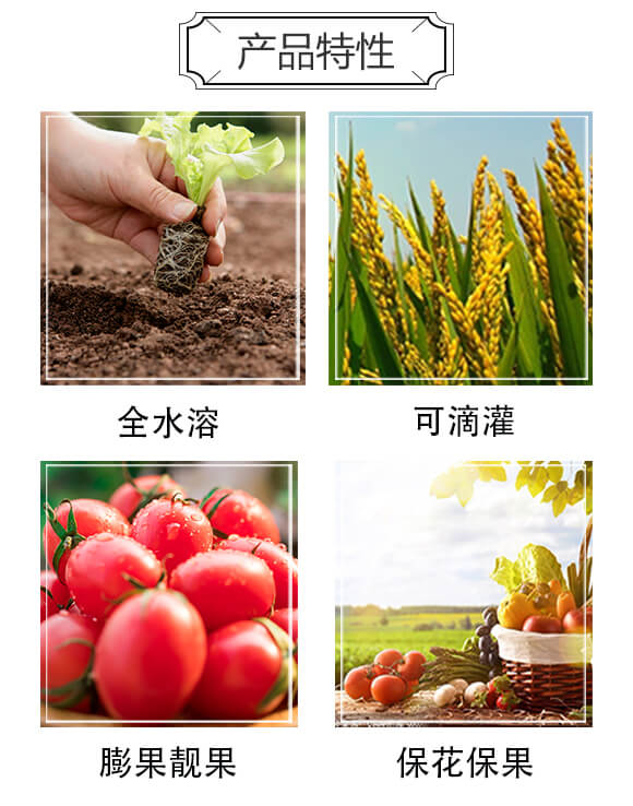 ߝ⛏ͺϷ17-17-17-ܡĽ-r(nng)__02