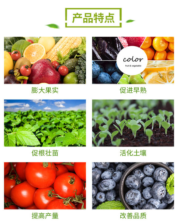 果多多-萬(wàn)代富田_03