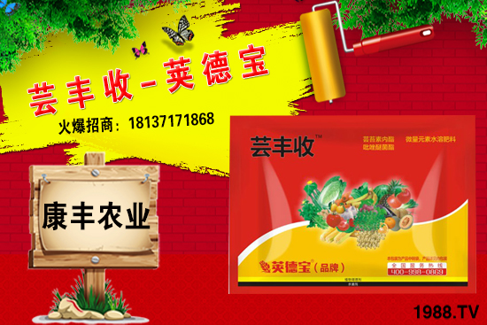 冬季要不要給小麥澆越冬水?小麥冬灌什么時候合適?