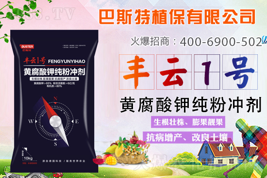 土壤板結/鹽漬化/酸化難解決?就用黃腐酸鉀純粉劑!