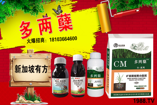 2021ַNֲǰֺͨк΅^(q)e