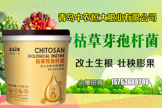 ݲѿߗUǡСݲѿߗUw˽