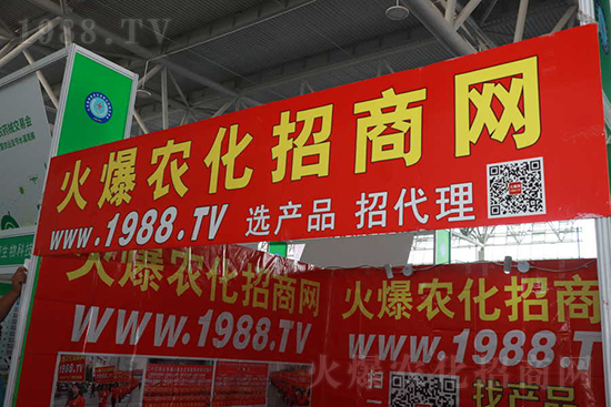 s2021ɽ|ֲ𱬾W(wng)ʢe