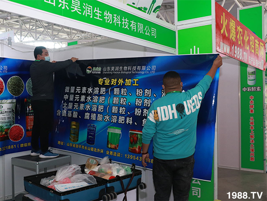 2021ɽ|ֲ(hu)1024ʢ_(ki)ĻcҊ(jin)ɢ