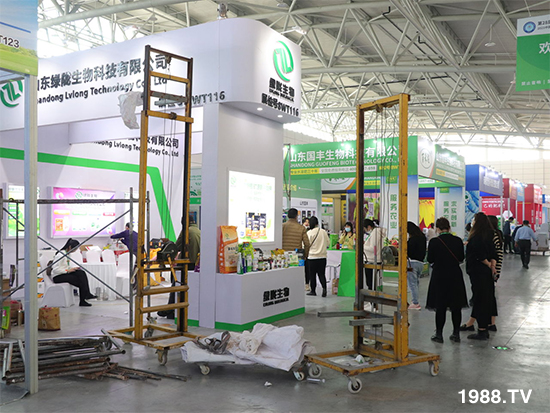 2021ɽ|ֲ(hu)1024ʢ_(ki)ĻcҊ(jin)ɢ