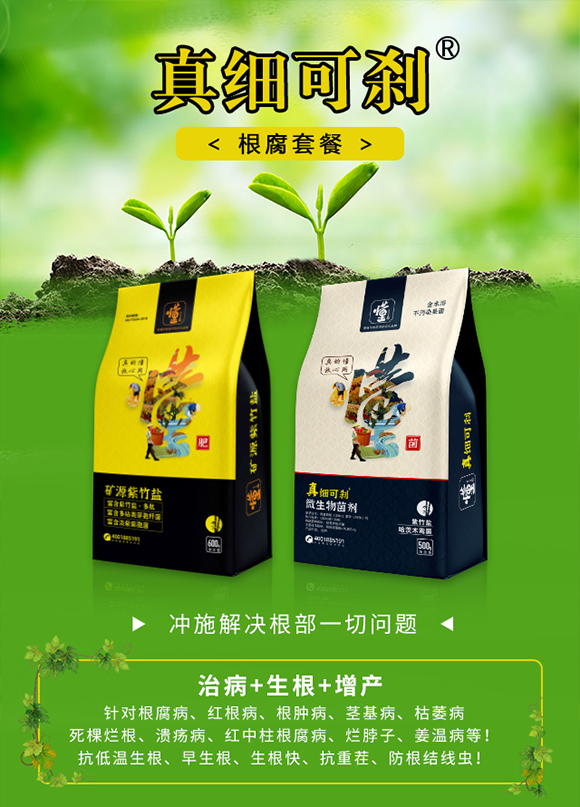 河南土好金-真細(xì)可剎_01