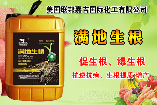 μôμЩɫ˾NaƷЩ