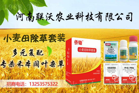 聯(lián)沃農(nóng)業(yè)續(xù)約1988.TV,攜手共創(chuàng)新輝煌!