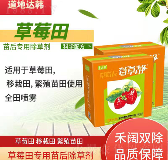 ݮgʹķN݄ݮ݄ʹ÷