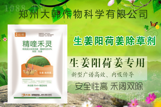 (yng)ɽôݣشʲô݄(yng)ɽݷע(xing)