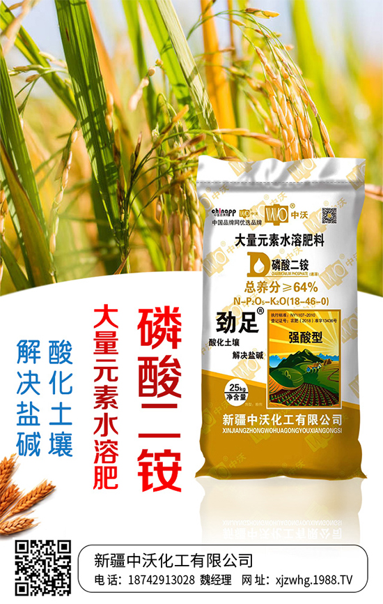 ֻm(x)s1988.TVyr(nng)W(wng)ل(chung)x