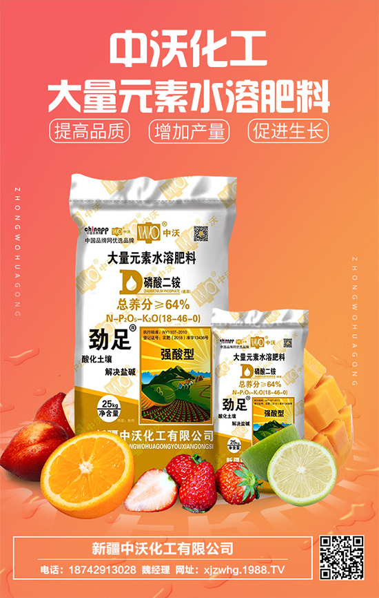 ֻm(x)s1988.TVyr(nng)W(wng)ل(chung)x