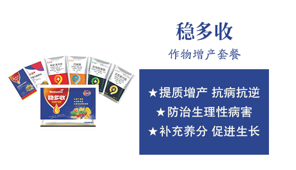 пr(nng)I(y)ƼоԺ3_02