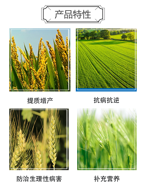 пr(nng)I(y)ƼоԺ3_03