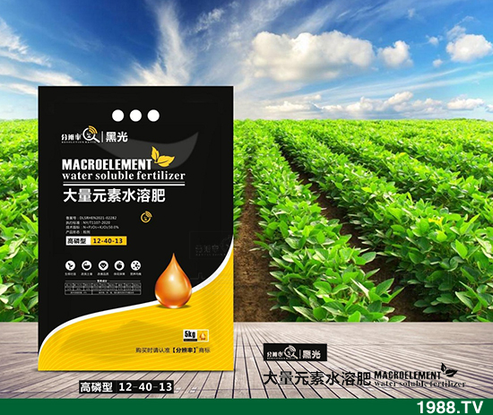 暫穩(wěn)運(yùn)行,2021.12.31今日磷酸二銨價格