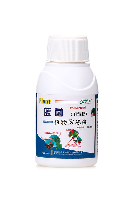 微生物菌劑(升級版)-藍(lán)菌植物防凍液-華濱1