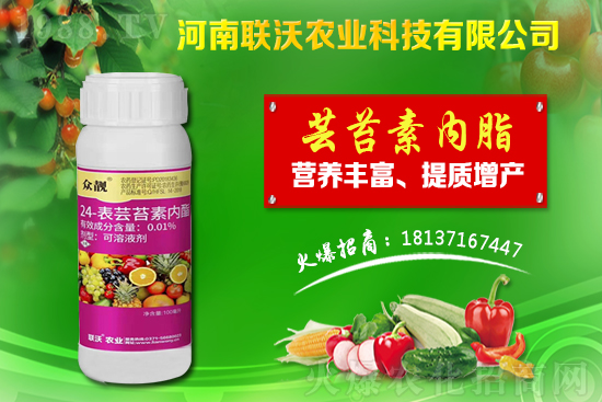 百部適合什么地方種植?百部種植前景及種植技術!